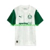 Palmeiras Voetbalshirts Uit 2025
